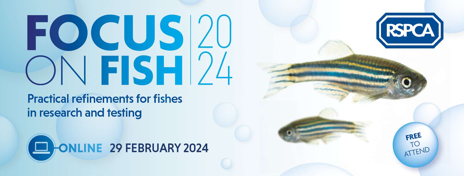 Focus on Fish 2024 